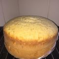 Jolyne 's cooksnap of when they made Simple vanilla cake recipe (charcoal jiko baked).