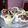 Cooksnap dari Uk untuk resep Cup cake cokelat no mixer no oven