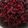 kabira's cooksnap of when they made தேங்காய் பீட்ரூட் பொரியல் (Cocount beetroot poriyal).