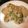 Chef Weird Beard's cooksnap of when they made Cream of Mushroom Chicken and Rice.