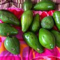 SherryRandall: The Leftover Chronicles 's cooksnap of when they made Avocado and Tomato Salad.