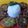 Chaandrani Ghosh Datta's cooksnap of when they made পোস্তর বড়া(postor bora recipe in Bengali).