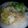jo.marie.121's cooksnap of when they made Lemon Garlic Tilapia.