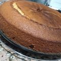 El cooksnap de Laura Veronica Reynoso cuando hizo Torta marmolada con la receta 1234.