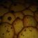 La cooksnap de Laidel Santana Cedeño cuando cocinó Galletas de mantequilla con pepitas de chocolate