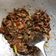 Cooksnap dari Sym Porosa untuk resep Tumis tongkol suwir endul