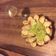 Cooksnap de Caroline Maire sur la recette Pesto d'avocat