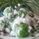 Cooksnap dari Santy Afriyanty untuk resep Klepon Ubi (tepung tapioka)