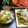 Sheela Biswas 's cooksnap of when they made লাবড়া(labra recipe in Bengali).