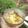 Cooksnap dari luluhaqi untuk resep Es krim nanas ala umi