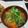 Junquo M Hill's cooksnap of when they made Napa Cabbage And Carrot / Diet Vegan.