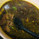 Cooksnap dari Windi Wulandari untuk resep 17. Rawon Daging Khas Surabaya - Rempah Indonesia TOP banget!