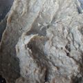 Cooksnap dari Joelfee untuk resep Lempok (dodol durian)