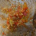 Cooksnap dari Yovanka Hanatasya untuk resep Sambal bawang tanpa tomat