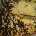 Cooksnap dari Ayu Dewi untuk resep Bolu tape singkong