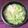 鄭恬 的 蛤蜊蘋果絲瓜麵線 cooksnap