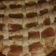El cooksnap de jose vega cuando hizo Kuchen de manzanas y mermelada de mora.