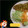 El cooksnap de Jorge Rivera Contreras cuando hizo Filete de Pescado en Salsa de Piña (Las Rosas de Navidad).