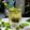 Cooksnap Jeehan Kitchen semasa beliau membuat Maghrebi Tea @ Morocco 🇲🇦 (3 Bahan).