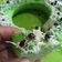 Cooksnap dari Sally Irvina Ritonga untuk resep Bolu simpel (no mixer no oven)