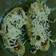 Cooksnap dari Lailatuzzahra Ukhty Muslimah untuk resep Pisang Penyet Coklat Keju