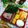 May 的 臘腸飯 cooksnap