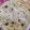 Areeba Muhammed's cooksnap of when they made Garlic Soft Layered Chapati.