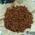 Cooksnap dari M.E. Novianti untuk resep Resep Kering Tempe Kriuk Tahan lama