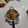 รูป Cooksnap ของ apple เมื่อเขาทำ ผัดกะเพราหมูสับหน่อไม้
