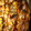 El cooksnap de David大衛 ご cuando hizo Pizza casera de barbacoa.