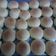 Cooksnap dari angelia melody untuk resep Puding Regal