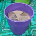 Cooksnap dari Ummu Uwais untuk resep Kopi Susu Literan (1L)