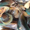 Cooksnap dari siti rohmawati untuk resep Kerang hijau saus tiram pedas