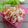 Cooksnap dari Dwi Prasetyawati untuk resep Kaarage Salad (880)