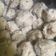 Cooksnap dari Emilia Fandira untuk resep Bakso Ayam Kenyal