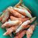 Cooksnap dari Dapur Qu untuk resep Sotong Goreng