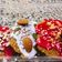 El cooksnap de Nicole Moller / @chefnicolemoller cuando hizo Galletas con decorado Glasé.