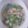 Cooksnap dari Safira Fitriyanti untuk resep Sayur Bening daun Kelor Jantung Pisang