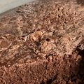 El cooksnap de Doña cecilia cuando hizo Brownies de Cacao sin manteca.