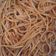 El cooksnap de Dina Luz cuando hizo Pastas a la criolla.