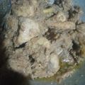 Cooksnap dari Wpn Ningrum untuk resep Nasu likku (ayam masak lengkuas)