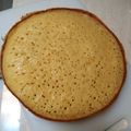 Cooksnap dari dhinx untuk resep Martabak Manis Teflon