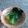 Cooksnap dari Yohana Tia untuk resep Pok Choy Saus Tiram
