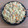 El cooksnap de Uchi Lopez cuando hizo Arroz con verduras y ternera.