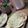 El cooksnap de Mariana Rodriguez cuando hizo Pizza al sartén.