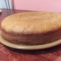 El cooksnap de Carolina Pereyra cuando hizo Bizcochuelo de vainilla y chocolate casero y económico.