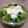 Cooksnap dari Kaylu Cu untuk resep Steamed Broccoli with Garlic Sauce
