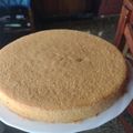 El cooksnap de Fanny Vazconcelo cuando hizo Torta matera de naranja al agua 🍊.