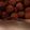 Glenys Johnson's cooksnap of when they made Scotch Eggs.