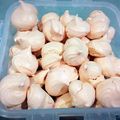 Cooksnap dari Anna Takita untuk resep Meringue cookie